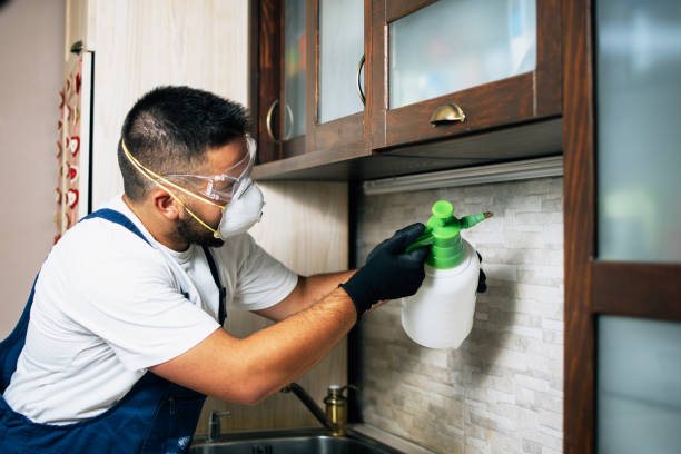 Best Commercial Pest Control Services  in Nanticoke, PA