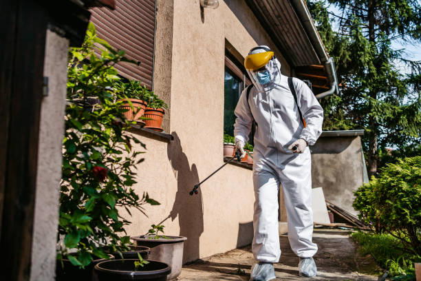 Best Wasp Removal Services  in Nanticoke, PA