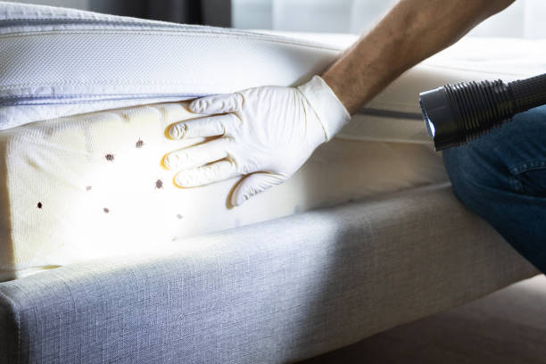 Best Pest Inspection Near Me  in Nanticoke, PA