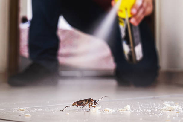  Nanticoke, PA Pest Control Pros