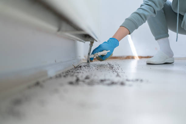 Best Best Pest Control Companies  in Nanticoke, PA